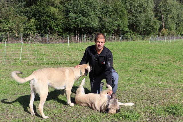Thomas Schranz mit seinen beiden Herdenschutzhunden. | Foto: Siegele