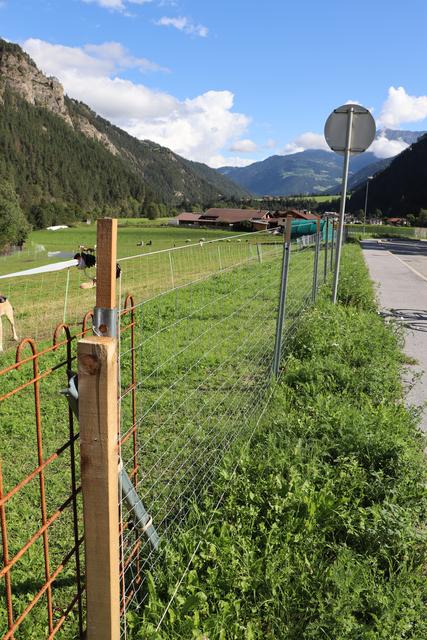 Am Außenzaun wird bereits eine wichtige Herdenschutzmaßnahme gezeigt - zusätzlicher Stromzaun unten und oben als Durchschlupf-Schutz. | Foto: Siegele