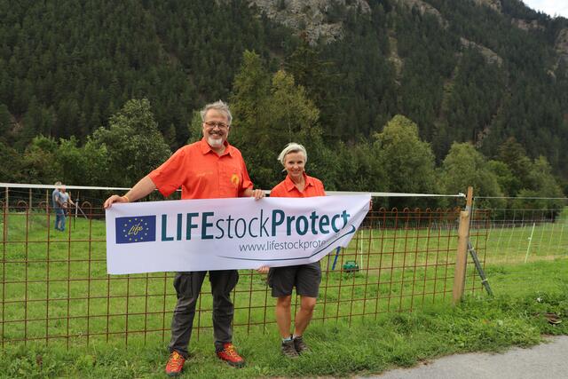 Das Life Stock Protect Herdenschutzprojekt wird unter anderem beim Standort in Tösens umgesetzt. | Foto: Siegele
