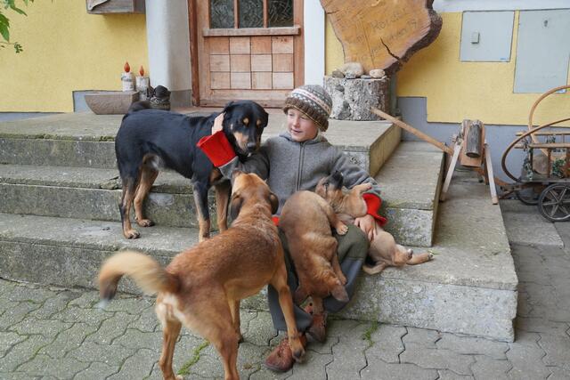 Elisa Roider mit den Pinschern und Welpen. | Foto: Gertraud Kleemayr