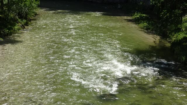 Zusätzliche Anregung: Vielleicht sollten sich die Betreffenden u.a. auch mal Gedanken darüber machen, dass sie ebenfalls das Wasser aus dem Einzugsgebiet der Schwarza trinken, wenn sie den Leitungshahn zu Hause aufdrehen! ...