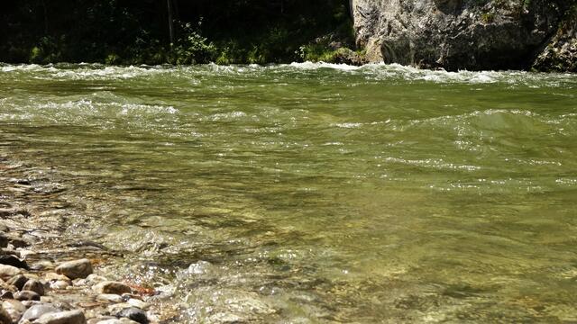 Das reine Gebirgsquellwasser aus dem Einzugsgebiet der Schwarza wird auch zur Trinkwasserversorgung Wiens verwendet! ...