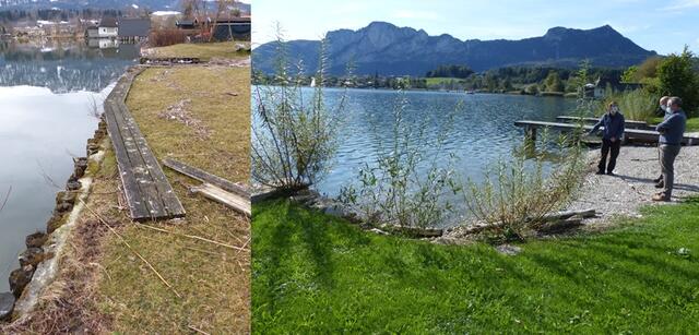 Renaturierung des Mondseeufers am Gelände des Forschungsinstituts für Limnologie (Universität Innsbruck)