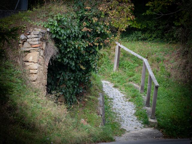 Würnitz im Weinviertel ist einen Zwischenstopp wert. | Foto: Regina Courtier