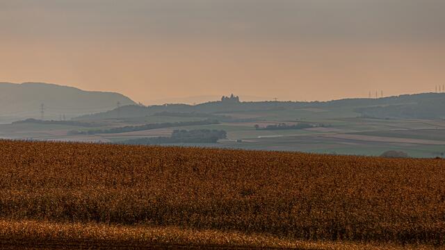 Würnitz im Weinviertel ist einen Zwischenstopp wert. | Foto: Regina Courtier
