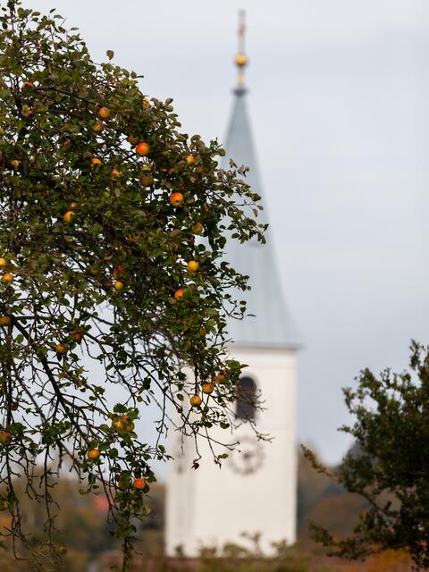 Würnitz im Weinviertel ist einen Zwischenstopp wert. | Foto: Regina Courtier