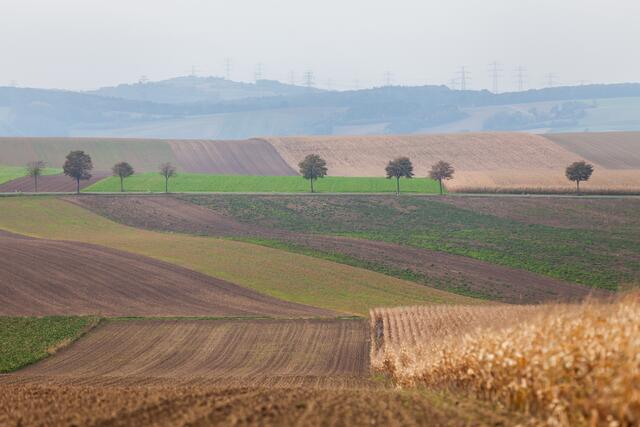 Würnitz im Weinviertel ist einen Zwischenstopp wert. | Foto: Regina Courtier
