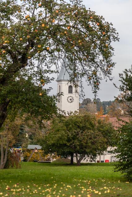 Würnitz im Weinviertel ist einen Zwischenstopp wert. | Foto: Regina Courtier