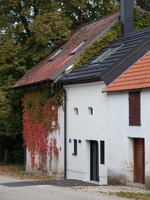 Würnitz im Weinviertel ist einen Zwischenstopp wert. | Foto: Regina Courtier