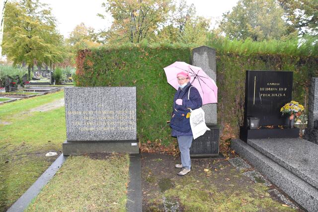 Zufällig fand Heidrun Weiss das Ehrengrab des Burg-Mimen Fred Liewehr. Über den Zustand ist sie entsetzt. | Foto: Karl Pufler