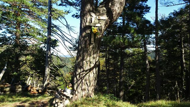 ... dem auf 1024 m ü.A. liegenden Gipfel "Auf der Luch"! ...