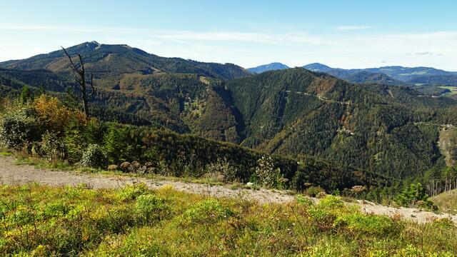 ... von der sich eine herrliche Aussicht bietet! ... Hier sieht man links den Unterberg (1342 m ü.A.), im Hintergrund (Bildmitte) die Reisalpe (1399 m ü.A.) und den Hochstaff (1305 m ü.A.)!
