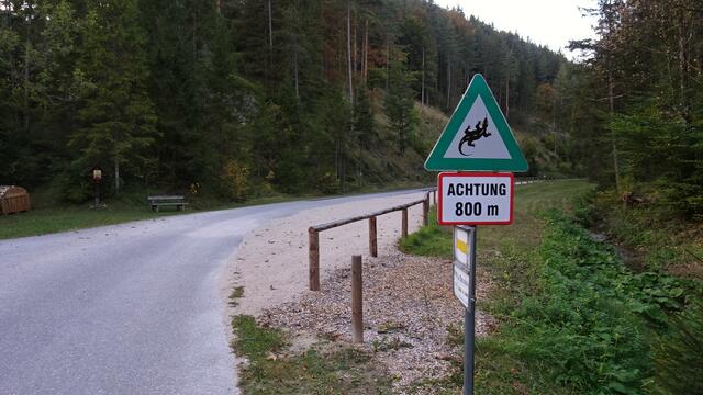 ... und schließlich das letzte Stück entlang der Straße ...