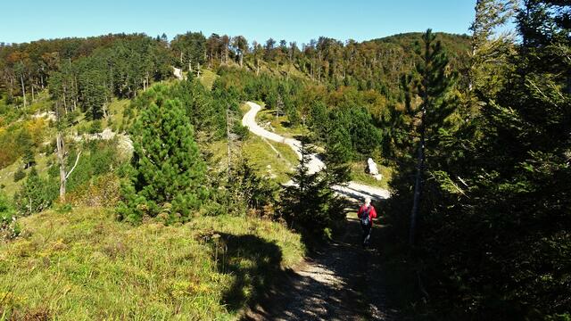 Der Enziansteig mündet letztlich in eine Forststraße, ...