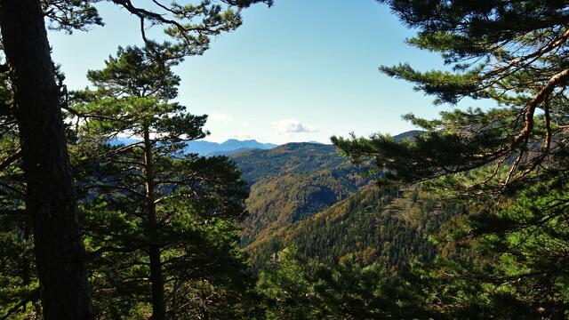... in der Ferne auf den Gippel (1669 m ü.A.)! ...