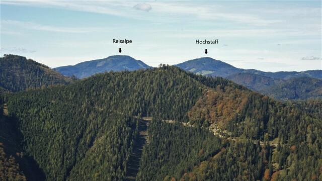 Die Reisalpe ist mit 1399 m ü.A. der höchste Berg der Gutensteiner Alpen!