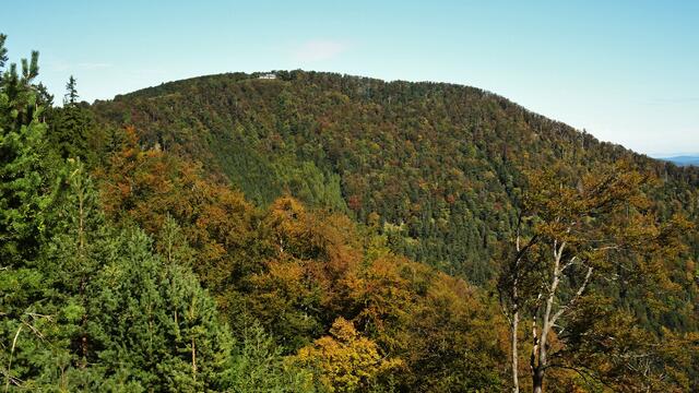 Titelbild: Das Kieneck im Herbst