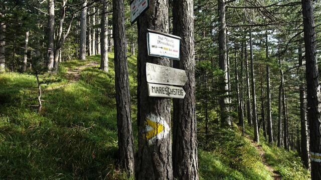 ... führt der Abstieg nach Thal über den Mareschsteig, ...