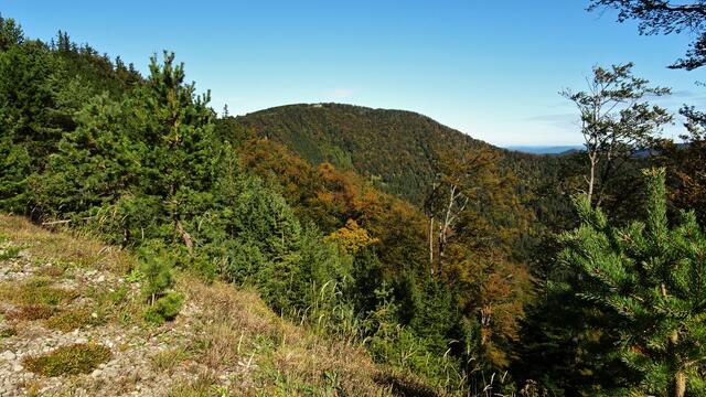 Bald darauf zeigt sich bereits ein erster Blick zum Kieneck-Gipfel und zur Enzianhütte! ...