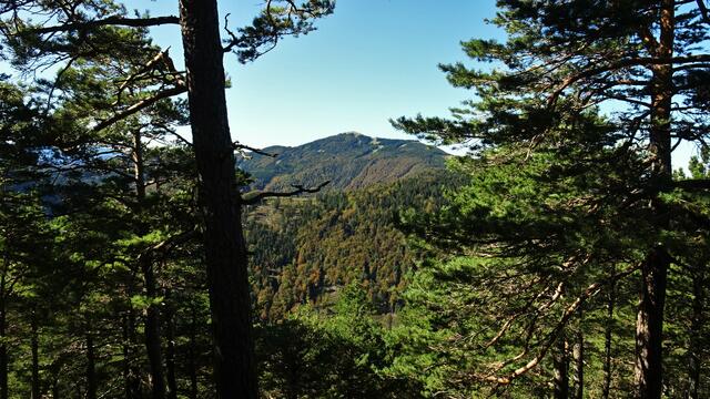 Es zeigt sich ein schöner Durchblick auf den Unterberg (1342 m ü.A.) und ...