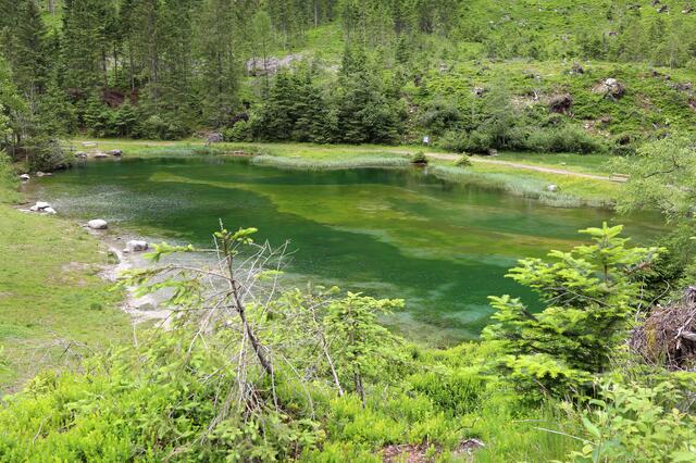 Leider hat es für die Sulzbachtäler nicht ganz für den Sieg gereicht