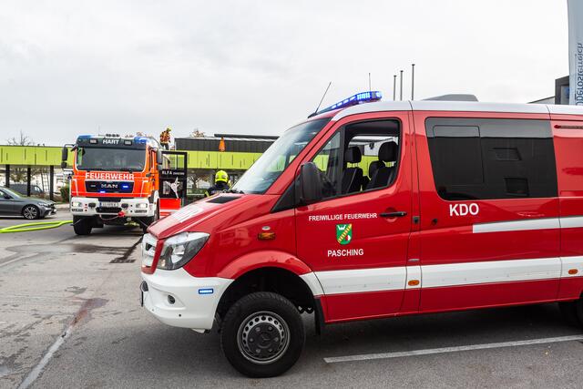 Foto: FOTOKERSCHI.AT/BAYER