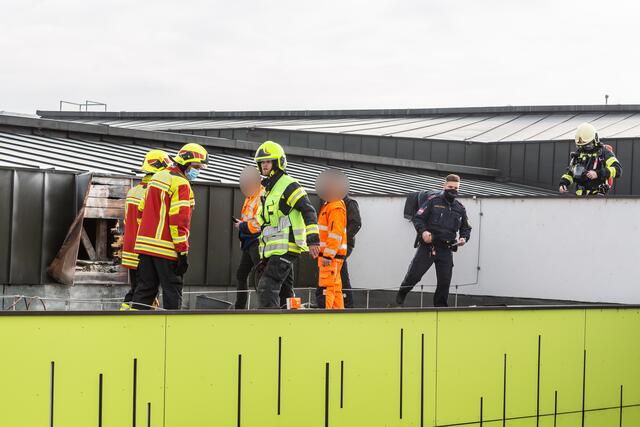 Foto: FOTOKERSCHI.AT/BAYER