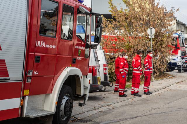 Foto: FOTOKERSCHI.AT/BAYER