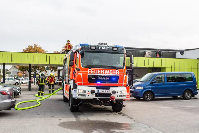 Foto: FOTOKERSCHI.AT/BAYER