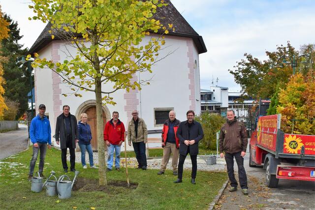 Den Vorplatz der Lindekapelle schmückt seit kurzem ein neuer Lindenbaum - die Freude ist groß!