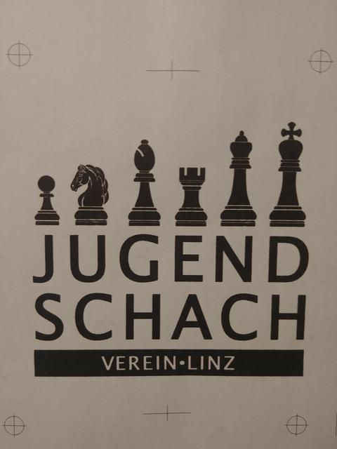 Der Jugendschachverein Linz wurde vor einem Jahr gegründet.