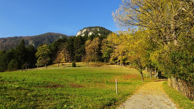 Titelbild: Der goldene Herbst am Gahns ...