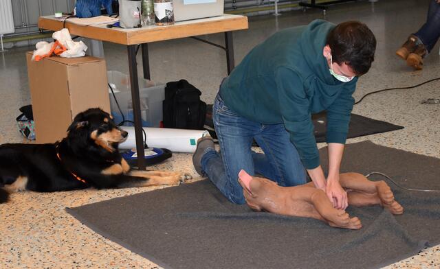 GGR Ladenstein bei der Wiederbelebung der Hundepuppe. | Foto: Ladenstein