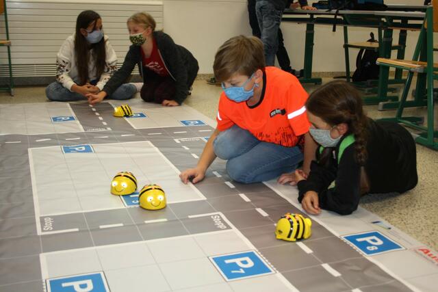 Wurde die "Programmierbiene" richtig eingestellt, findet sie den Weg. | Foto: NeuAug