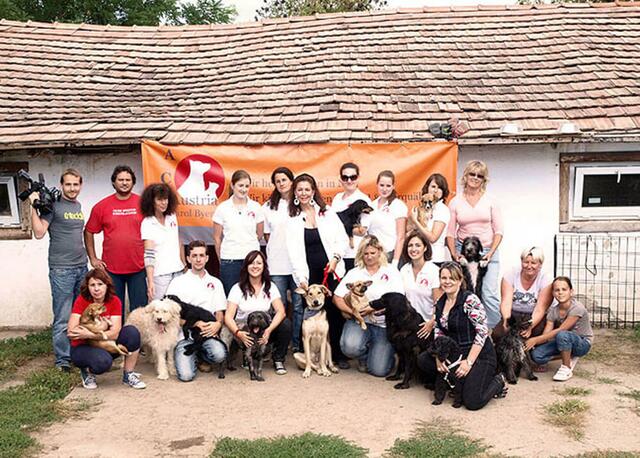 Von juristischer Beratung, Hundevermittlung bis zur Pressearbeit – "Animal Care Austria" wird von Freiwilligen am Laufen gehalten.