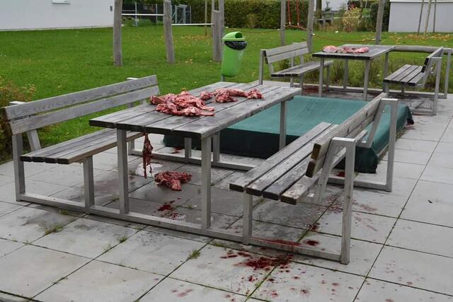 Auf Parkbänken in der Ingeborg-Bachmann-Straße verteilten Unbekannte rohes Schweinefleisch als verächtliche Aktion gegen Muslime. | Foto: monatliche.at