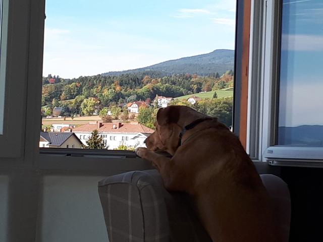 Friedberg