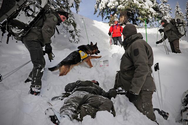 Die Suche nach Verschütteten muss gut organisiert und vorbereitet sein. | Foto: Militärkommando Tirol