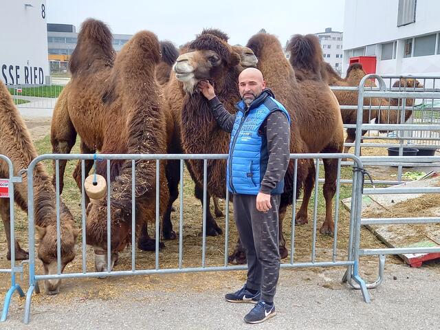 Der Zirkus Alex Kaiser ist in Ried gestrandet. 40 Tiere brauchen Futter. Bitte helfen Sie mit!