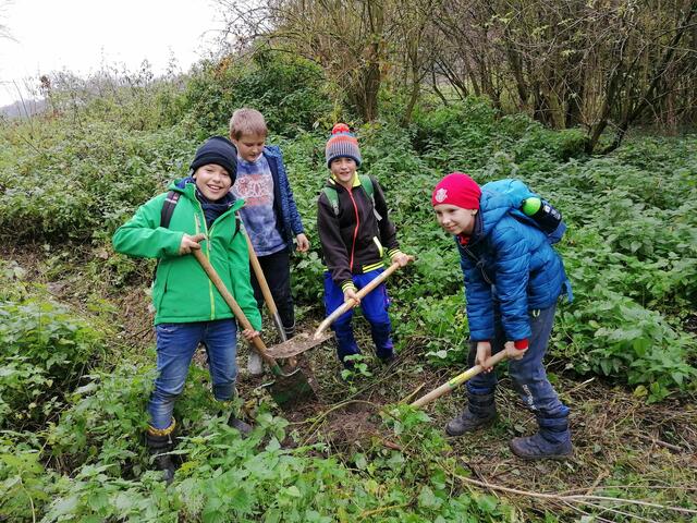 Die Schüler der Naturparkmittelschule Emmersdorf pflanzten fleißig Bäume in der Grimsinger Au. | Foto: LIFE+Auenwildnis Wachau