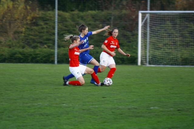 Wildcats Krottendorf gegen LUV Graz