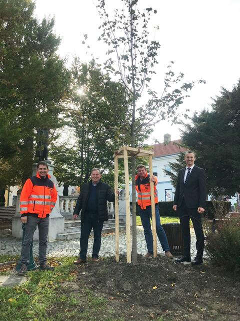 Stadtgärtner Ludwig Mayr, Umweltgemeinderat STR Leopold Spitzbart, Thomas Pöll und Vizebürgermeister  Roland Honeder | Foto: Spitzbart