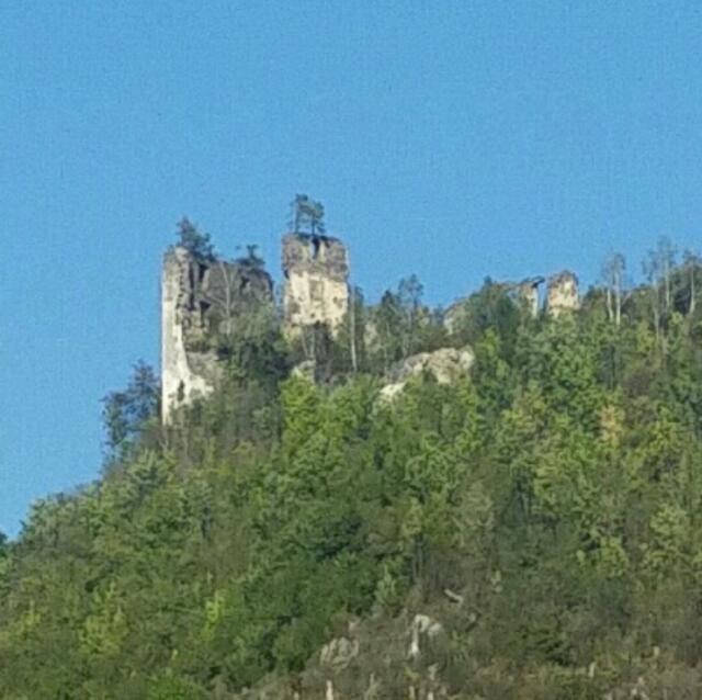 Burg Kaisersberg Aus der Ruine Kaisersberg wurde wieder eine “Burg