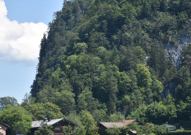 Foto: ZOOM.Tirol/BB Archiv