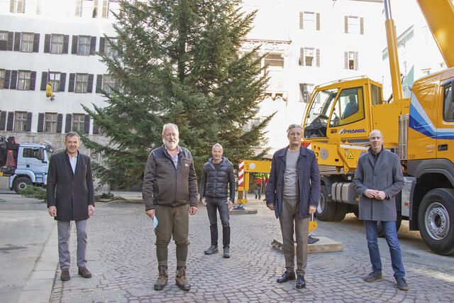 Bürgermeister Georg Willi, Kurt Pröller (Amt für Wald und Natur), Robert Neuner (Geschäftsführer IAI Veranstaltungs GmbH), Michael Perger (Obmann Interessengemeinschaft Altstadt Innsbruck) sowie Bernhard Vettorazzi (Geschäftsführer Innsbruck Marketing; v. l.) freuen sich über die erfolgreiche Aufstellung des rund drei Tonnen schweren Christbaums vor dem Goldenen Dachl.