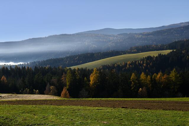 auch davon musste schnell ein Bild gemacht werden, bevor es weiterging
