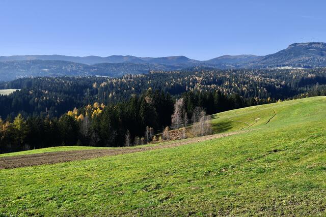 unterwegs Richtung Weinebene