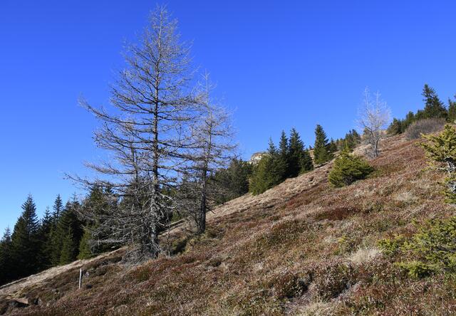 auf der Handalm unterwegs