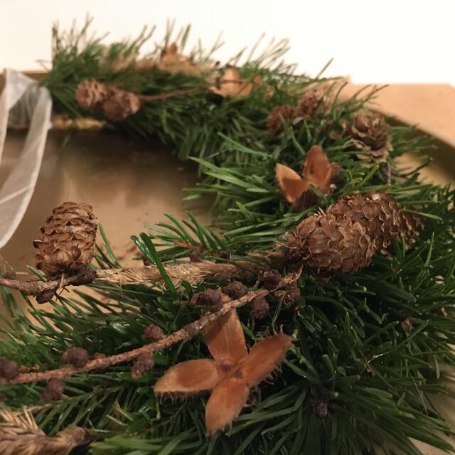 Winterlicher grüner Hoop. 