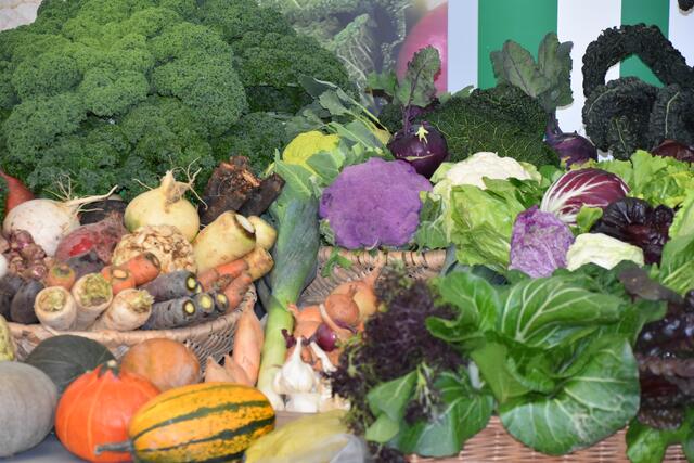 Bunte Vielfalt an Wintergemüse: Karotten, Sellerie, Rote Rüben, Pastinaken, Chinakohl, Rucola, Vogerlsalat, Kürbis und Co.